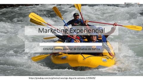 Tema-3.-Marketing-experiencial.pdf