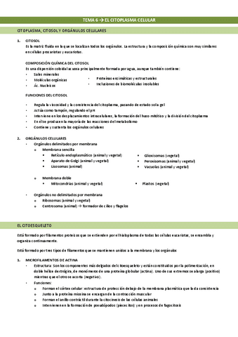 Tema-6-El-citoplasma-celular.pdf