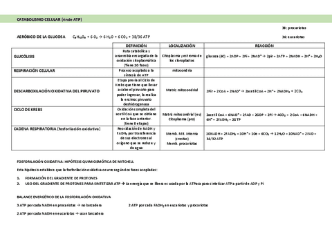 Tema-8-Tabla-catabolismo.pdf