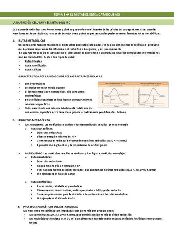 Tema-8-El-metabolismo.-El-catabolismo.pdf