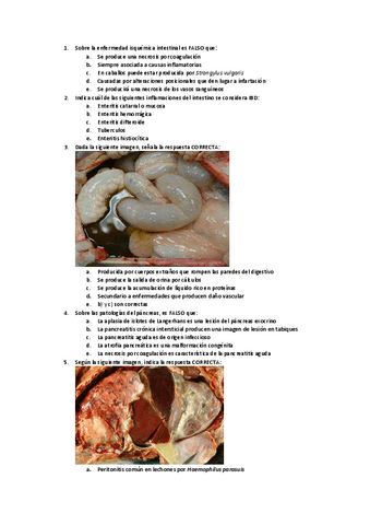 Examenes-digestivoSolucionado.pdf