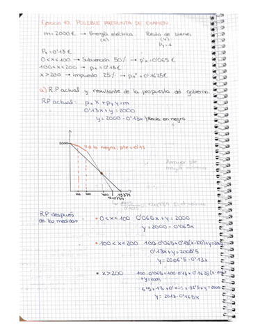 Tema-1-Ejercicio-1.pdf