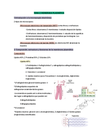 Tema-2-citologia.pdf