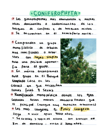 Coniferofita.pdf