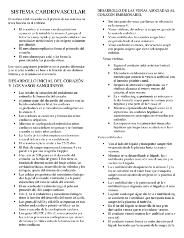 sistema-cardiovascular.pdf