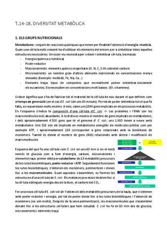 TEMES-14-al-18-micro.pdf