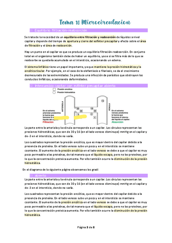 Tema-10-Microcirculacion.pdf