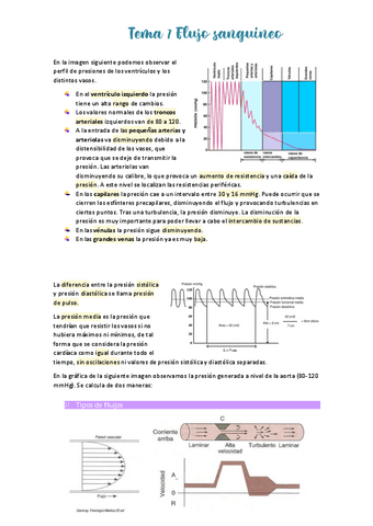 Tema-7-Flujo-sanguineo.pdf