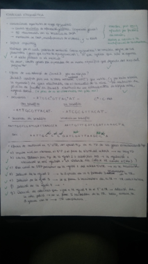 EjerciciosGM (2).pdf