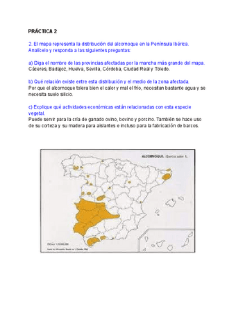Alcornoque.pdf