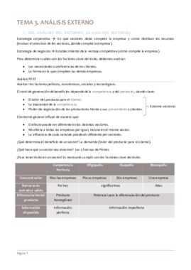 TEMA 3 ANALISIS EXTERNO ESQUEMA.pdf