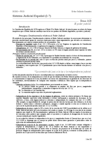 SJE-Temario-CompletoResumido.pdf