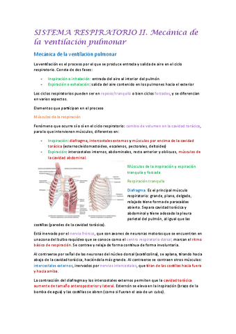 SISTEMA-RESPIRATORIO-II.-Mecanica-de-la-ventilacion-pulmonar.pdf