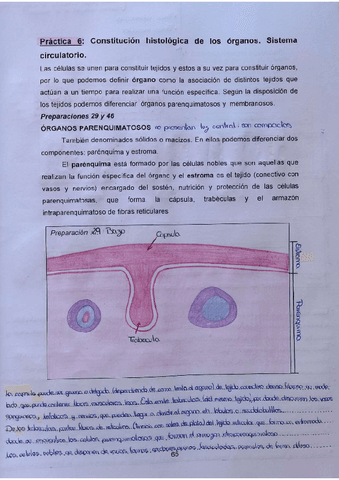 Practica-6-3oparcial.pdf