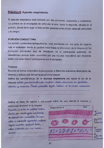 Practica-8-3oparcial.pdf
