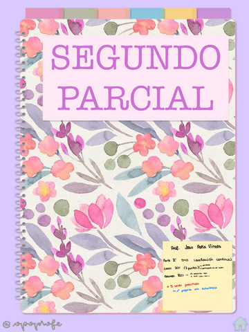 2p.Direccion-Y-Organizacion.pdf