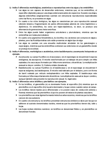 Simulacro-examen-2022.pdf