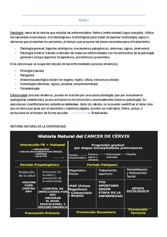 TEMA-1-resumen.pdf