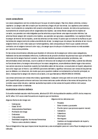 TEMA-3-resumen.pdf