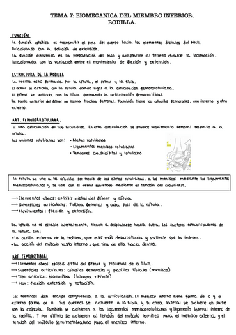 Tema-7.2.-Rodilla.pdf