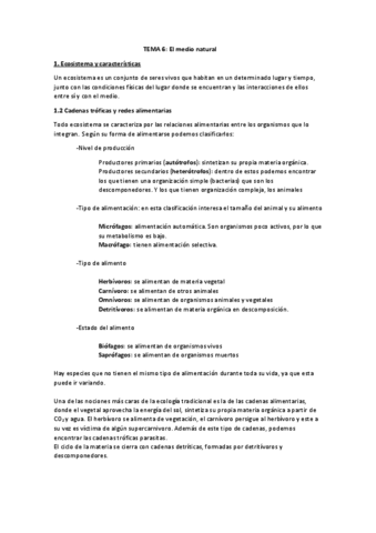 Tema-6.1.pdf