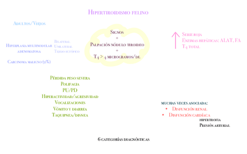 hipertiroidismo-felino.pdf