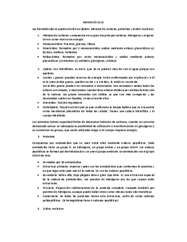 Resumen.pdf