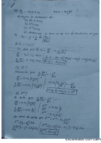 Chincho-termo.pdf