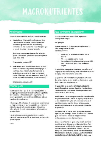 T3-Macronutrientes.pdf