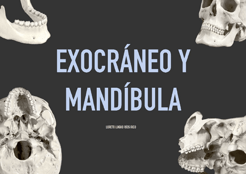 PRACTICA-2-EXOCRANEO-Y-MANDIBULA.pdf