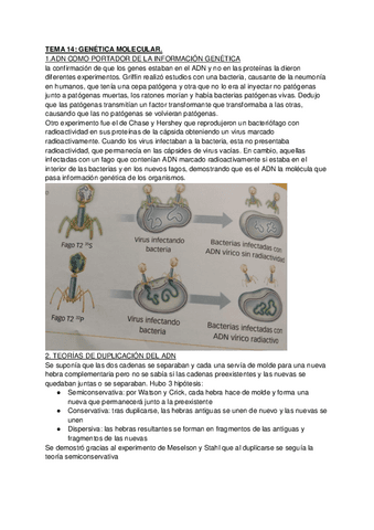 BIOLOGIA-TEMA-14.pdf
