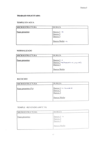 PL-9-ciencia-de-materiales.pdf
