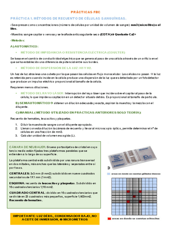 PRACTICAS-FBC- RESUMEN.pdf