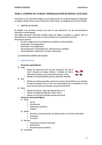 TEMA-3.pdf
