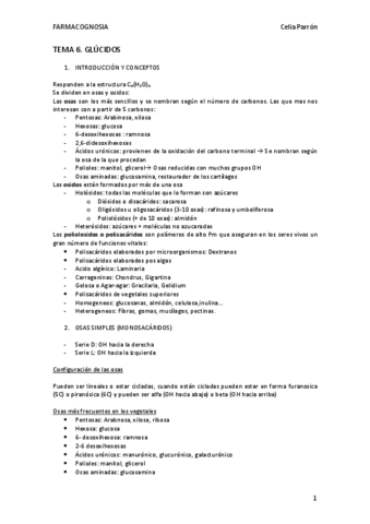 TEMA-6.pdf