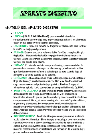 APARATO-DIGESTIVO-APUNTES.pdf
