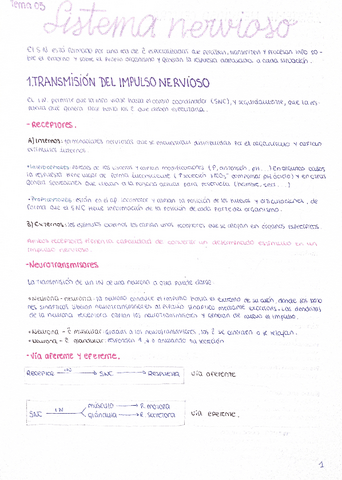 sistema-nervioso.pdf