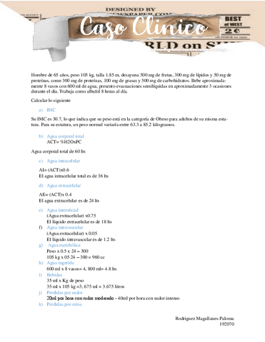 Practica.pdf