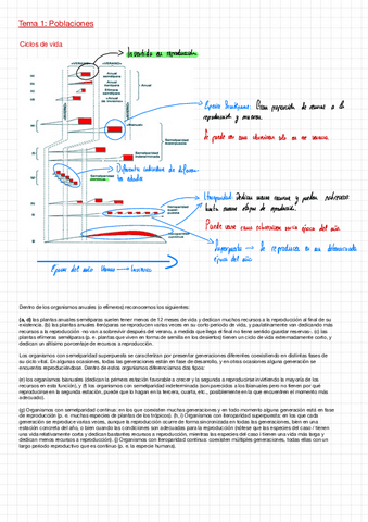 Graficas-importantes-ECO-II.pdf