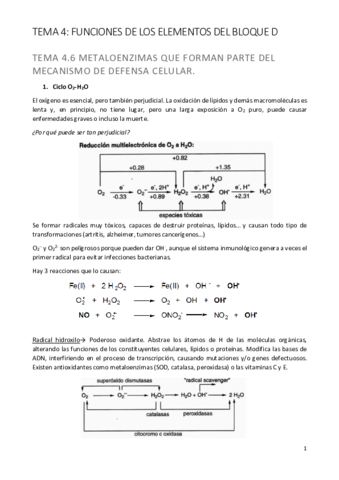 Tema 4.6.pdf