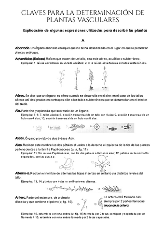 Claves-para-la-determinacion-de-plantas-vasculares.pdf