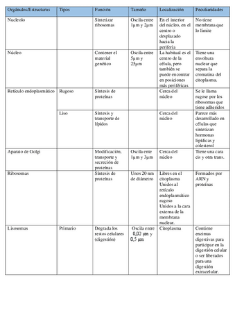 Tabla-esquema-UD2-estructura-celular-Metabolismo-mitocondria.pdf