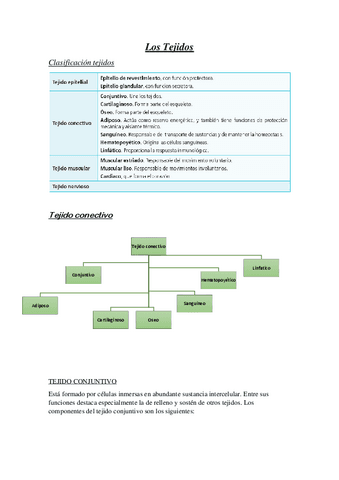 Esquema-Resumen-UD3-Los-Tejidos.pdf