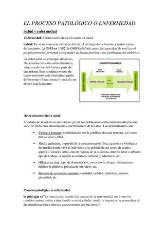 Esquma-Resumen-UD4-Las-enfermedades.pdf