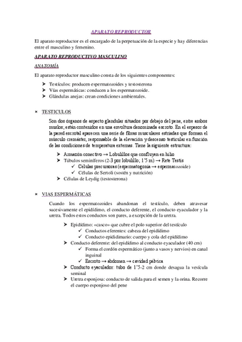 Esquema-resumen-UD11-Aparato-reproductor.pdf