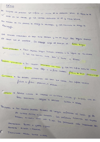 Lexico-Lengua.pdf