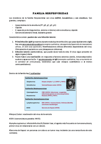 4-Familia-Herpesviridae.pdf