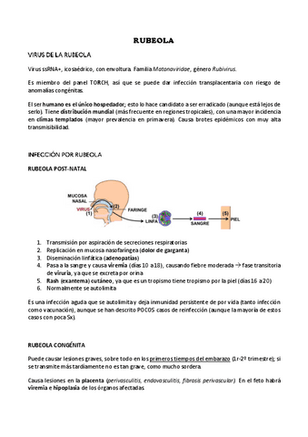 5-Rubeola.pdf