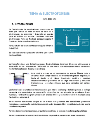 6.-Electroforesis.pdf