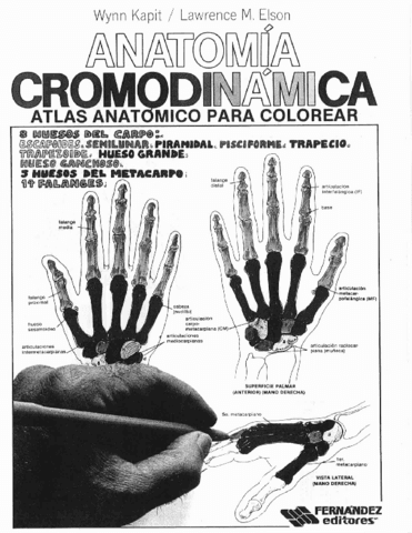 ANATOMIA-CROMODINAMICA.pdf